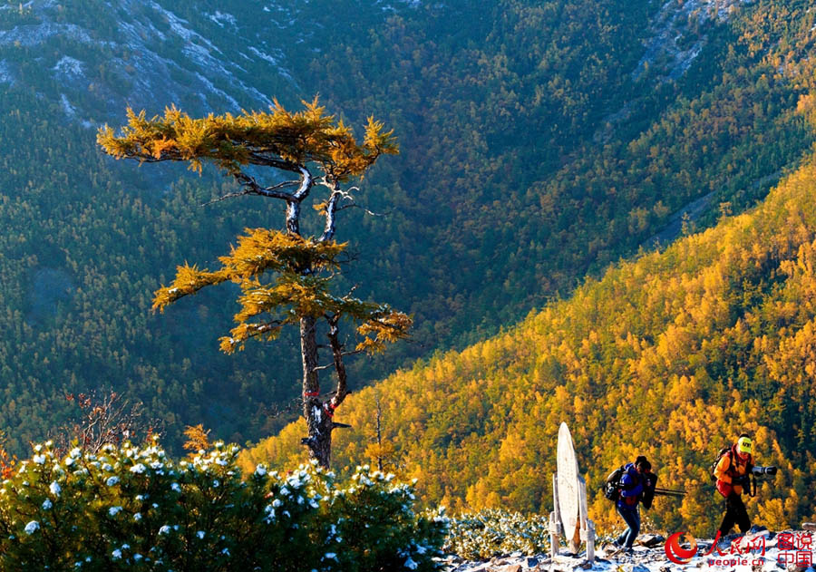 Осенний пейзаж в Дасинаньлине