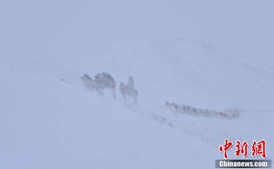 Пастухи во время метели.