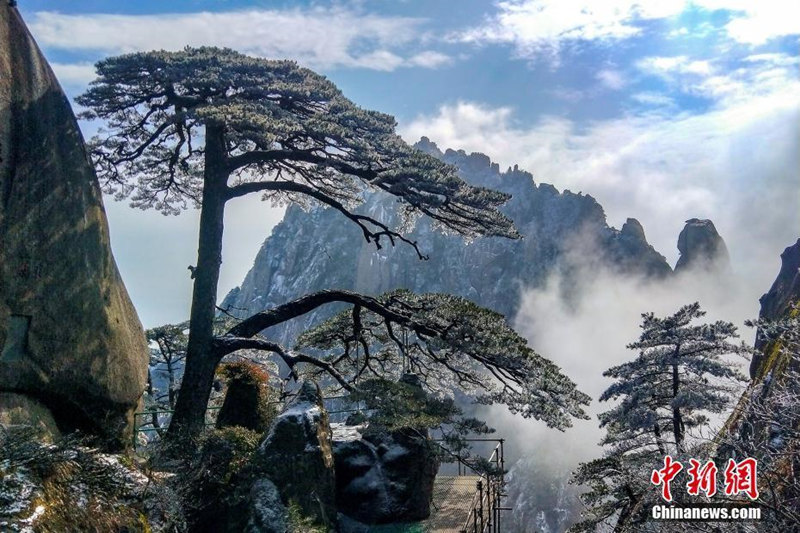 Красивые зимние пейзажи в горах Хуаншань