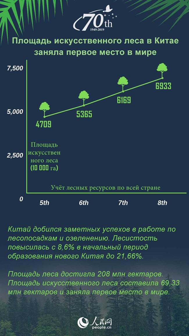 Площадь искусственного леса в Китае заняла первое место в мире