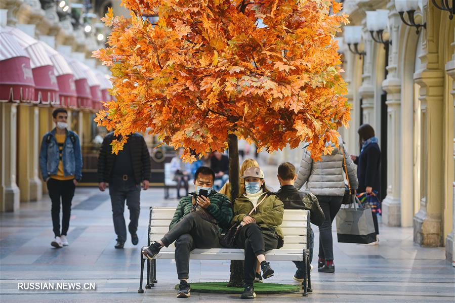 За последние сутки в России выявлено 8135 новых случаев COVID-19