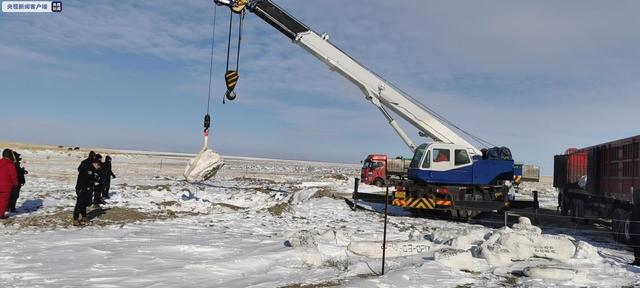 Ученые приступят к исследованию найденных во Внутренней Монголии окаменелостей динозавров