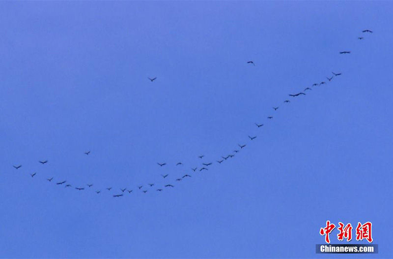 Осенние виды водно-болотных угодий Манаса на северо-западе Китая