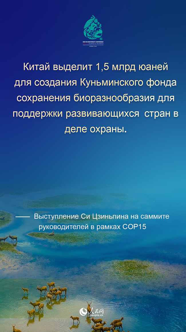 Си Цзиньпин призвал совместно начать новый поход на пути к высококачественному развитию человечества