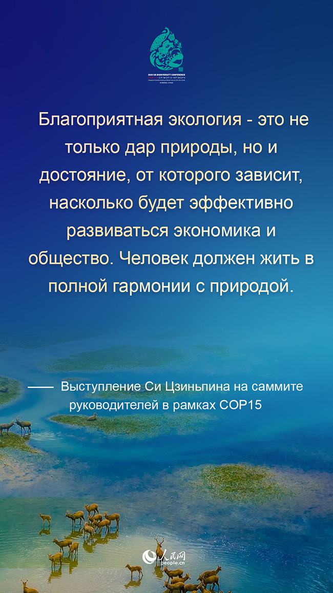 Си Цзиньпин призвал совместно начать новый поход на пути к высококачественному развитию человечества