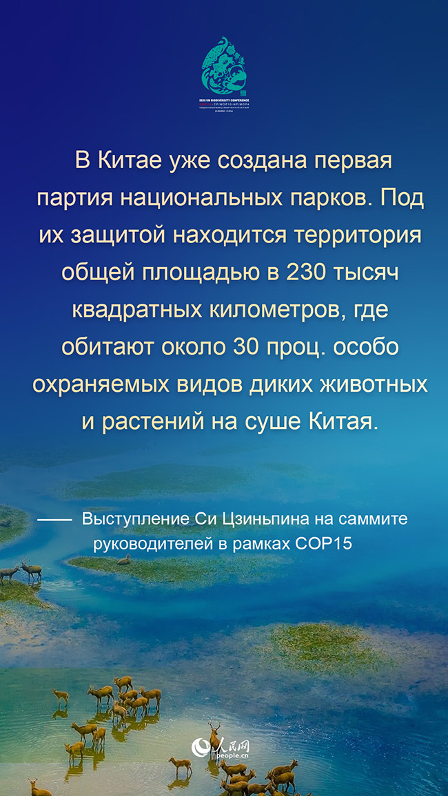 Си Цзиньпин призвал совместно начать новый поход на пути к высококачественному развитию человечества