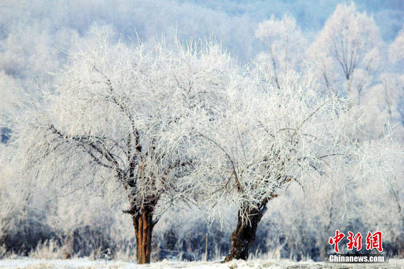 Первая изморозь в долине реки Аргунь на севере Китая