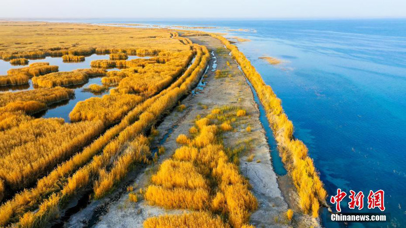 Буйство осенних красок в разных уголках Китая