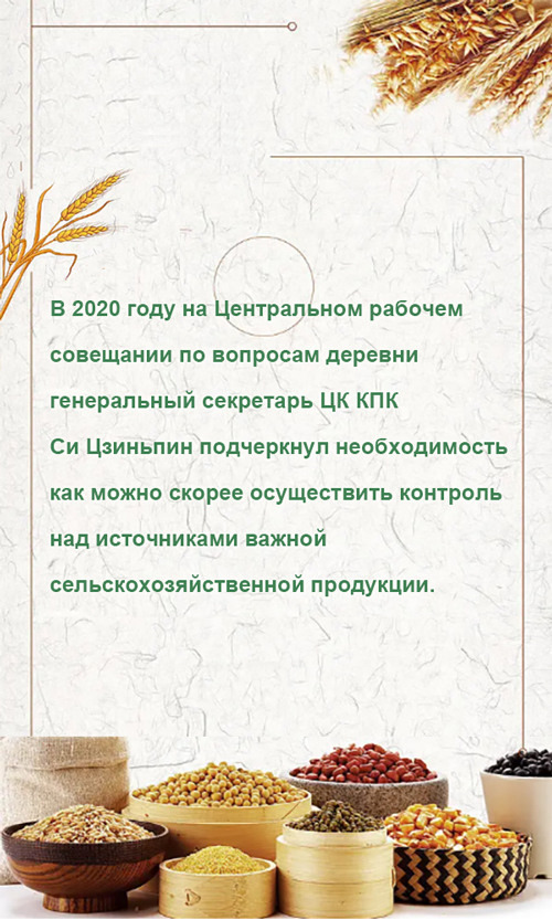 Си Цзиньпин придает большое значение выращиванию семян??