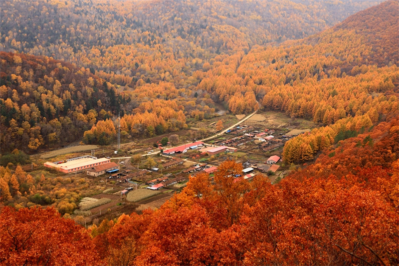 Осеннее настроение на берегу озера Синкайху