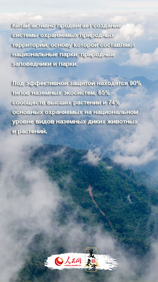 Экологическое управление рисует новую картину прекрасного Китая